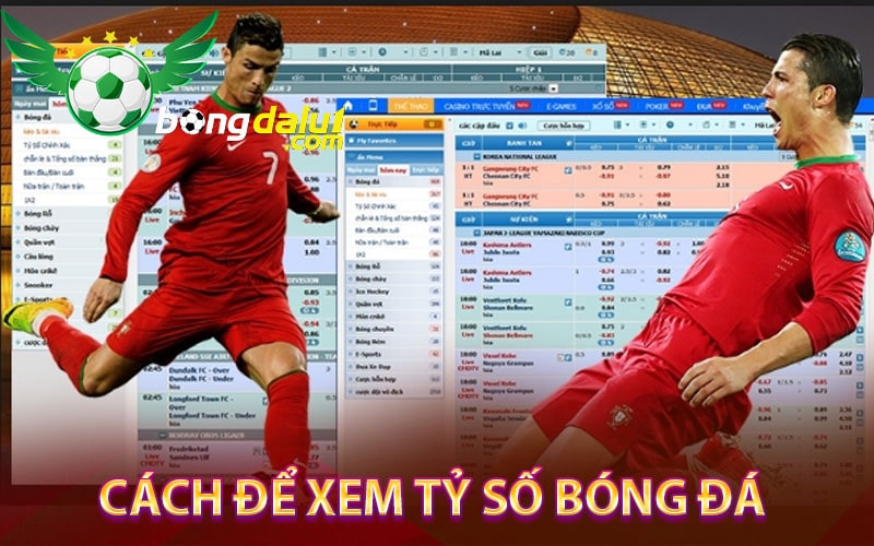 Cách để xem tỷ số bóng đá