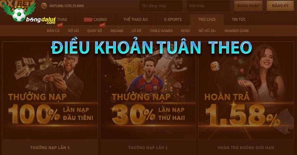 Điều khoản bắt buộc của Oxbet