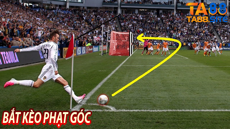 Bắt kèo phạt góc