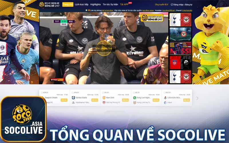 Tổng quan về socolive