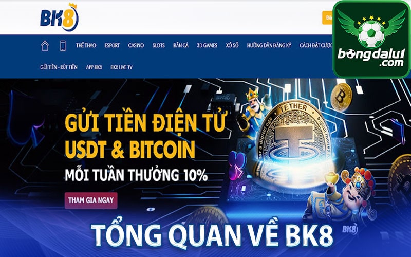 Tổng quan về nhà cái cá cược trực tuyến Bk8