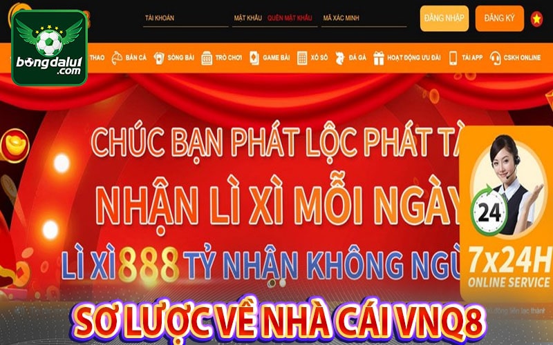Sơ lược về nhà cái vnq8