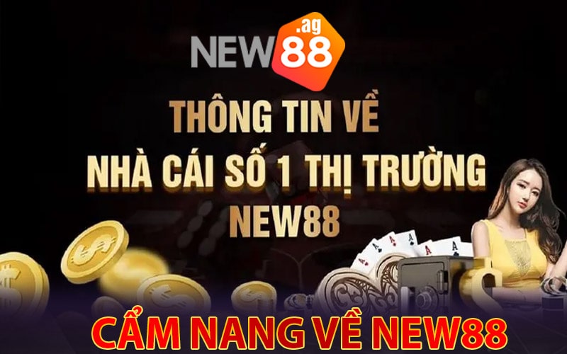 Cẩm nang vài nét về sân chơi New88